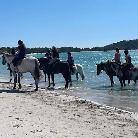 Casa vacanze A Casa Di Lo *