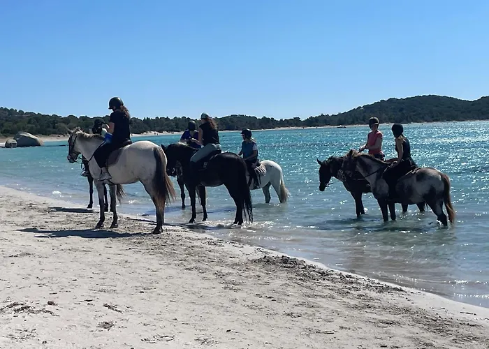 度假居 A Casa Di Lo *